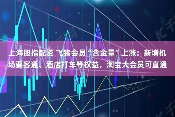上海股指配资 飞猪会员“含金量”上涨：新增机场要客通、酒店打车等权益，淘宝大会员可直通