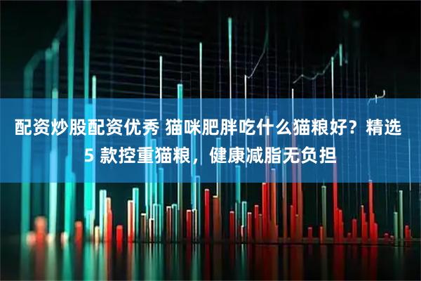 配资炒股配资优秀 猫咪肥胖吃什么猫粮好？精选 5 款控重猫粮，健康减脂无负担